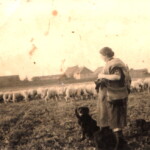 Urgroßmutter Berta beim Hüten in Beesenstedt