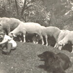 Auch die Kinder waren dabei