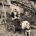 Christa mit Ziegengespann 1940er Jahre