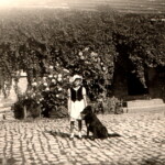 Großmutter mit Hütehund