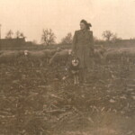 Christa bei der Herde 1950er Jahre