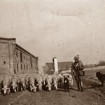 Paul Oswald beim Austrieb