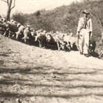 Gerhard Papendieck beim Austrieb