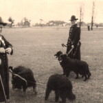 Beim Hütewettbewerb