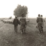 Hüterichter bei der Arbeit