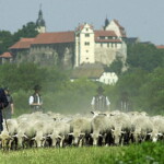 Gerhard bei der Richtertätigkeit 1990er Jahre